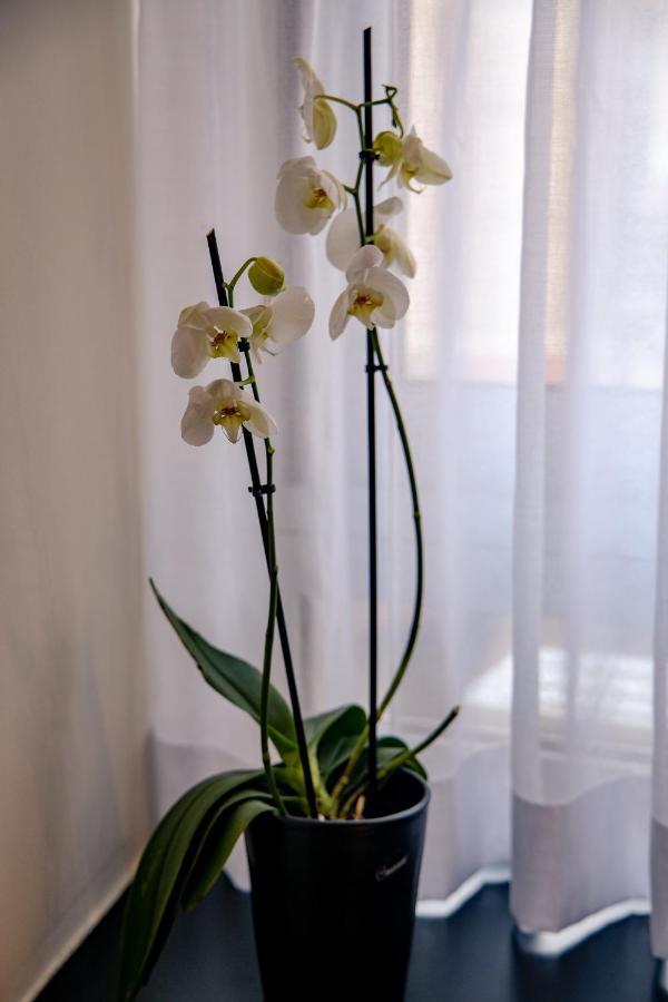 Triple A - Prime Location - Between Monastiraki & Syntagma Square-Free Parking! Athens Ngoại thất bức ảnh